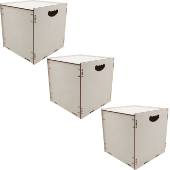 myORGA_no_2050_Holzbox_mit_Deckel_gross_3er Set